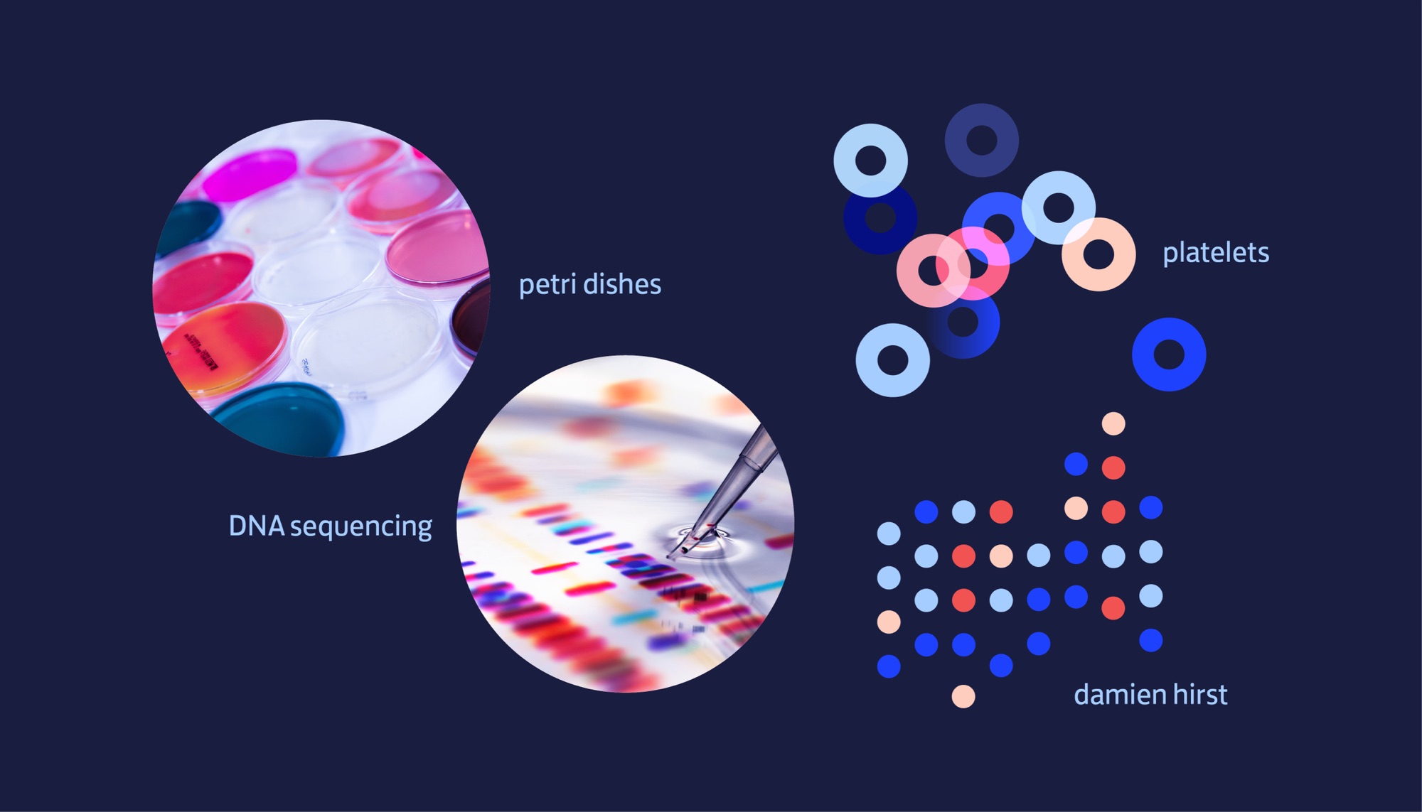 Visual reference board on navy: circular crops of coloured petri dishes and DNA sequencing, beside blue and pink rings labelled platelets and a grid of dots labelled damien hirst